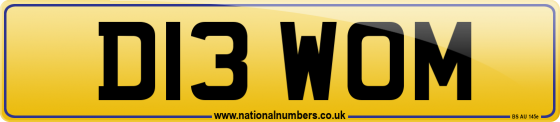 D13 WOM