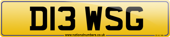 D13 WSG