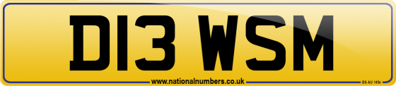 D13 WSM