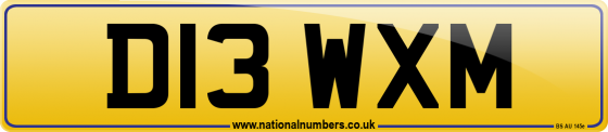 D13 WXM