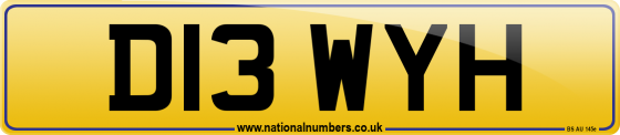D13 WYH