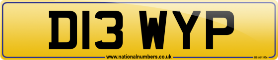 D13 WYP
