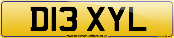 D13 XYL