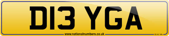 D13 YGA
