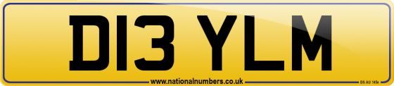 D13 YLM