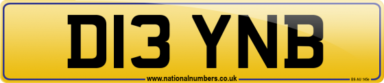 D13 YNB