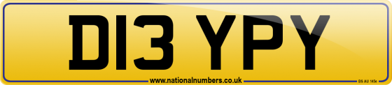 D13 YPY