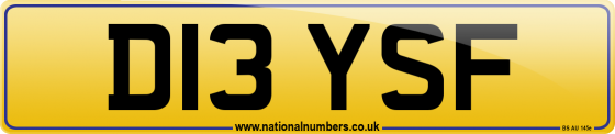 D13 YSF