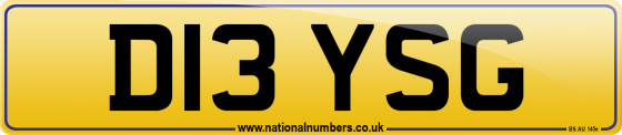D13 YSG