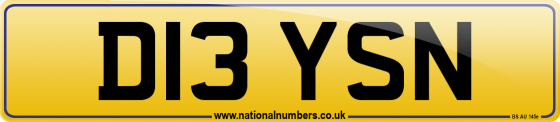 D13 YSN