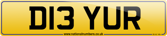 D13 YUR