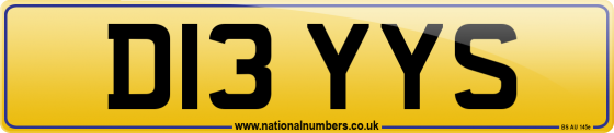 D13 YYS