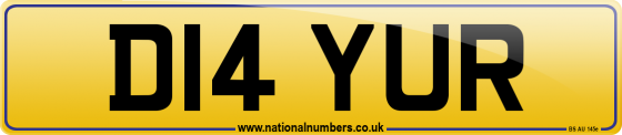 D14 YUR