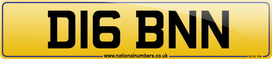 D16 BNN