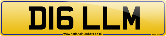 D16 LLM