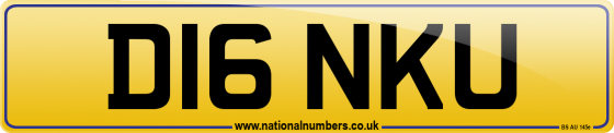 D16 NKU