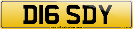 D16 SDY
