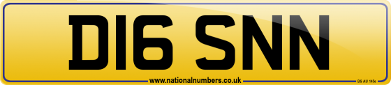 D16 SNN