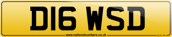 D16 WSD