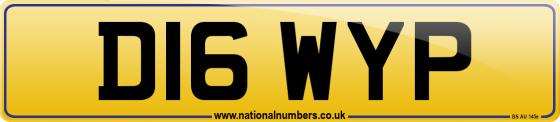D16 WYP