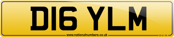 D16 YLM