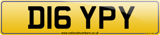 D16 YPY