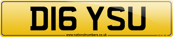 D16 YSU