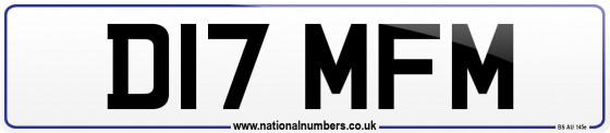 D17 MFM
