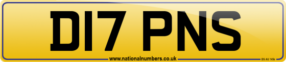 D17 PNS