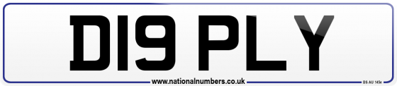 D19 PLY