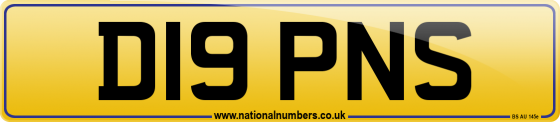 D19 PNS