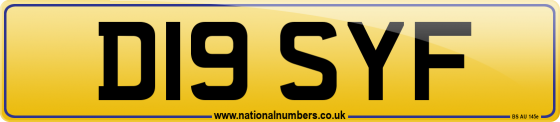 D19 SYF