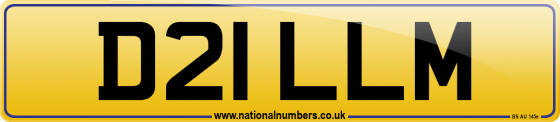 D21 LLM