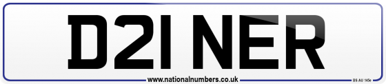 D21 NER
