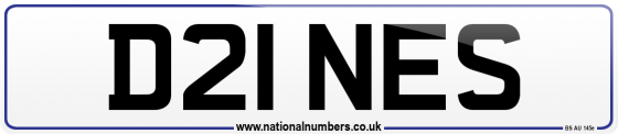 D21 NES