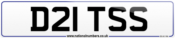 D21 TSS