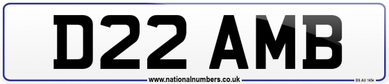 D22 AMB