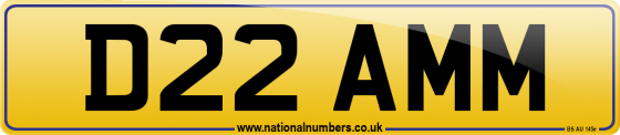 D22 AMM