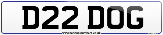 D22 DOG