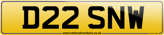 D22 SNW