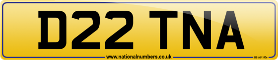 D22 TNA
