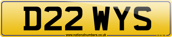 D22 WYS