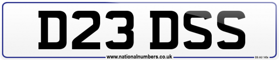 D23 DSS