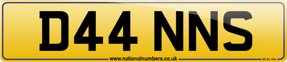 D44 NNS