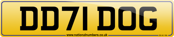 DD71 DOG