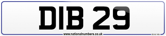 DIB 29