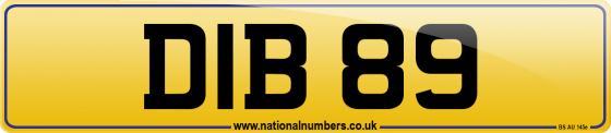 DIB 89