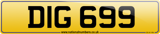 DIG 699