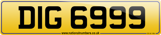 DIG 6999