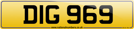 DIG 969